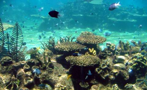 Alertan del peligro de la alteración de los fondos marinos